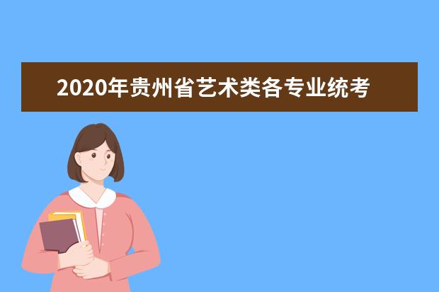 2020年贵州省艺术类各专业统考简章