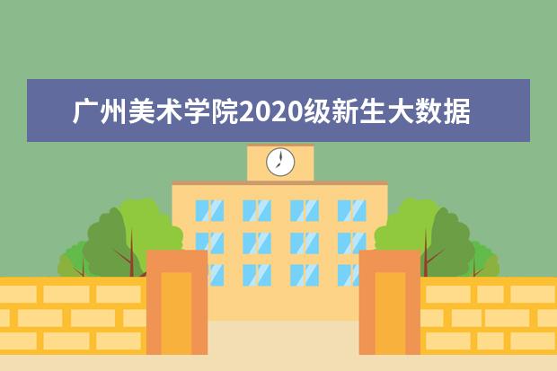 广州美术学院2020级新生大数据