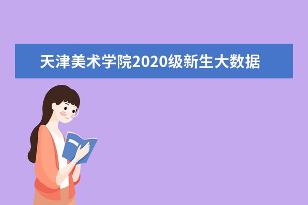 天津美术学院2020级新生大数据