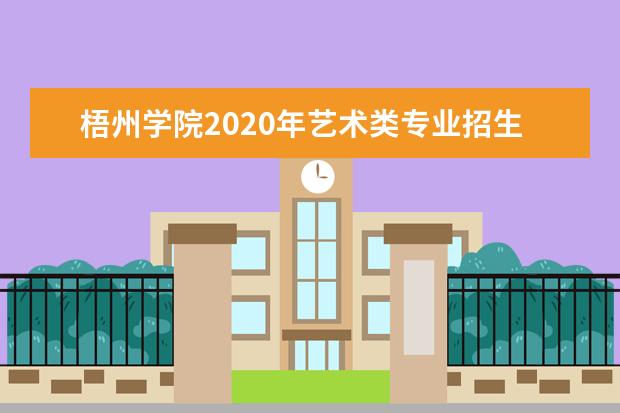 梧州学院2020年艺术类专业招生计划