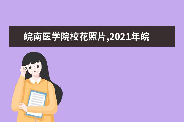 皖南医学院校花照片,2021年皖南医学院校花是谁(多图)