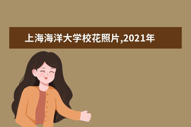 上海海洋大学校花照片,2021年上海海洋大学校花是谁(多图)