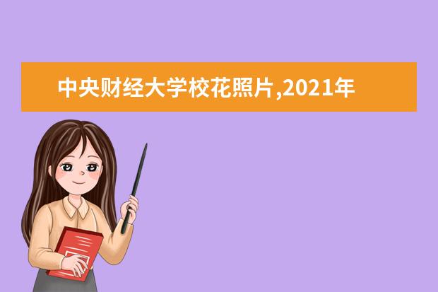 中央财经大学校花照片,2021年中央财经大学校花是谁(多图)