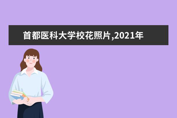 首都医科大学校花照片,2021年首都医科大学校花是谁(多图)