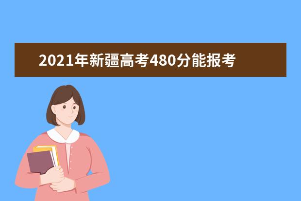 2021年新疆高考480分能报考上什么大学(理科)