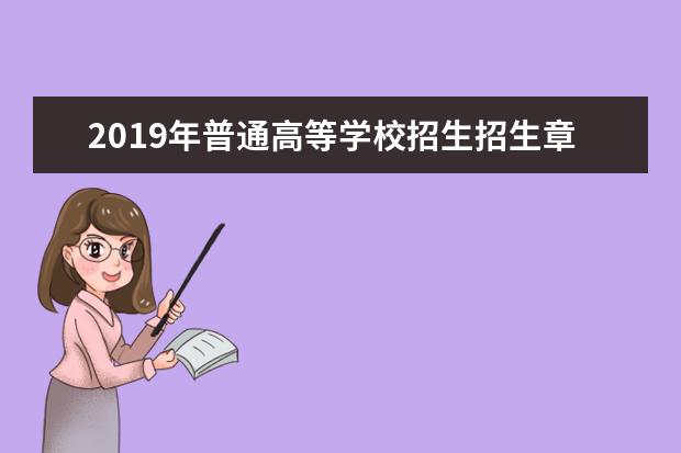 2019年普通高等学校招生招生章程相关工作规定