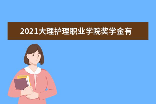 2021大理护理职业学院奖学金有哪些 奖学金一般多少钱?