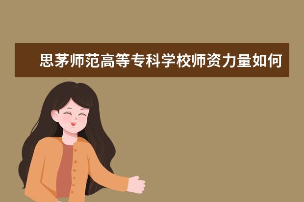 思茅师范高等专科学校师资力量如何 师资水平怎么样