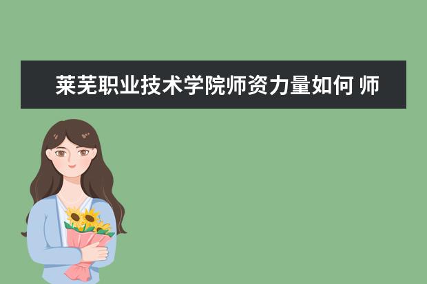 莱芜职业技术学院师资力量如何 师资水平怎么样