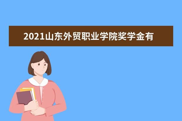 2021山东外贸职业学院奖学金有哪些 奖学金一般多少钱?