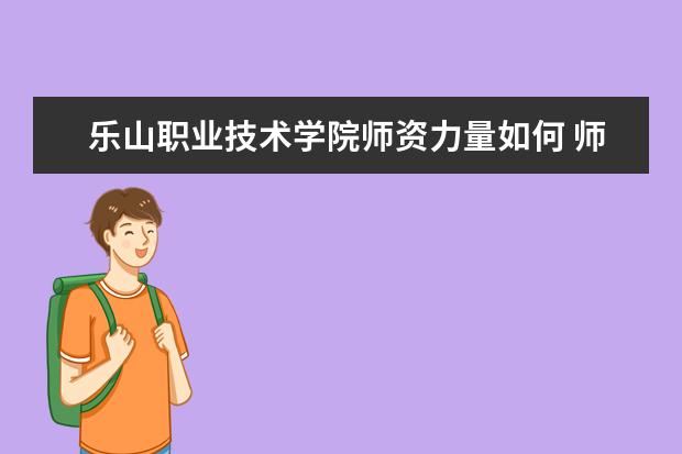 乐山职业技术学院师资力量如何 师资水平怎么样