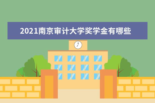 2021南京审计大学奖学金有哪些 奖学金一般多少钱?