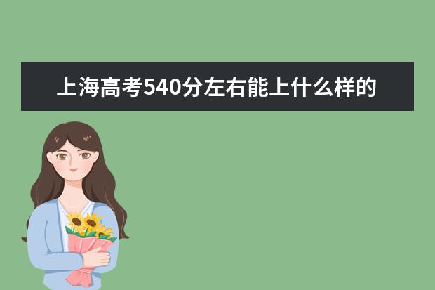 上海高考540分左右能上什么样的大学