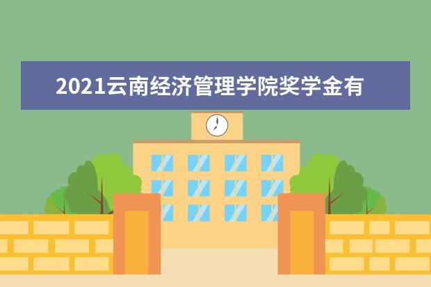 2021云南经济管理学院奖学金有哪些 奖学金一般多少钱?