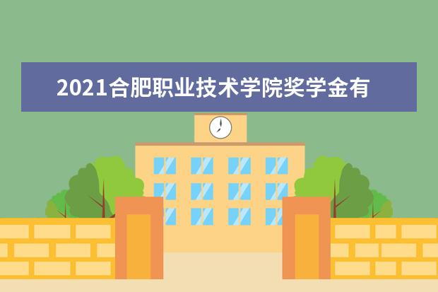 2021合肥职业技术学院奖学金有哪些 奖学金一般多少钱?