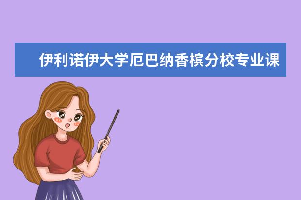 伊利诺伊大学厄巴纳香槟分校专业课程