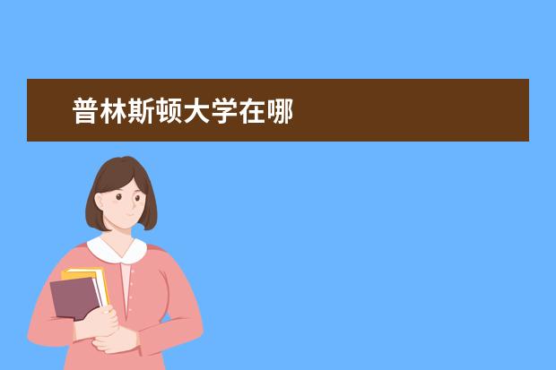 普林斯顿大学在哪