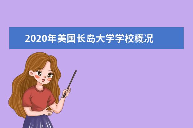 2020年美国长岛大学学校概况