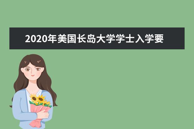 2020年美国长岛大学学士入学要求