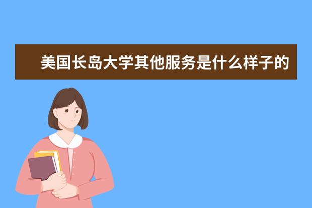 美国长岛大学其他服务是什么样子的？求告知