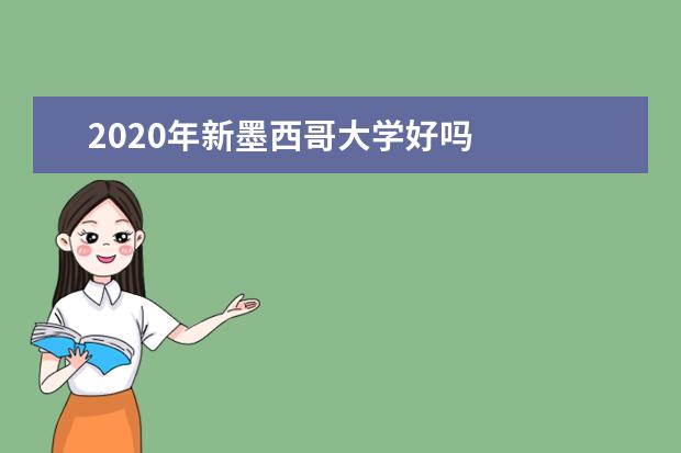 2020年新墨西哥大学好吗