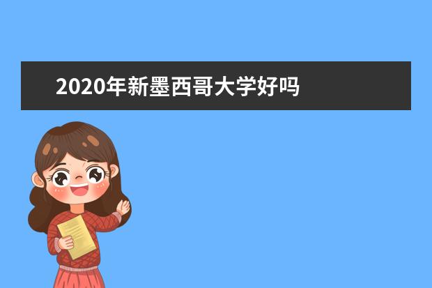 2020年新墨西哥大学好吗