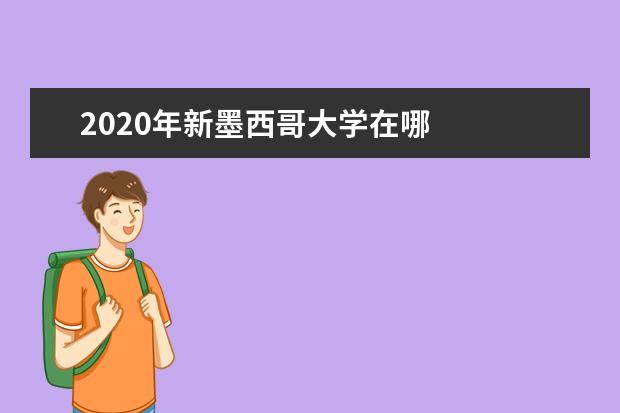 2020年新墨西哥大学在哪