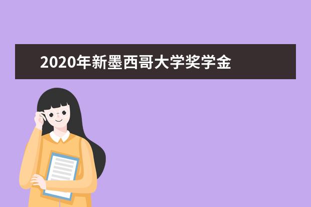 2020年新墨西哥大学奖学金