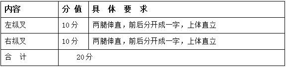 2022年安徽省普通高校招生艺术专业统一考试模块三考试说明 （试行）