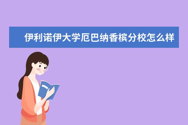 伊利诺伊大学厄巴纳香槟分校怎么样 校园生活