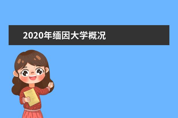 2020年缅因大学概况