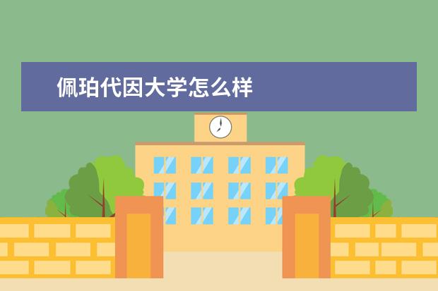 佩珀代因大学怎么样