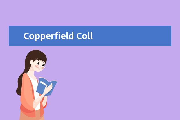 Copperfield College师生情况怎么样 师资力量如何