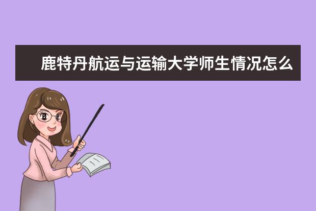 鹿特丹航运与运输大学师生情况怎么样 师资力量如何