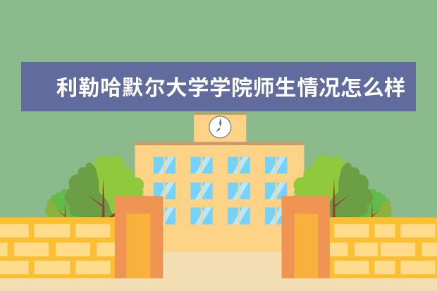 利勒哈默尔大学学院师生情况怎么样 师资力量如何