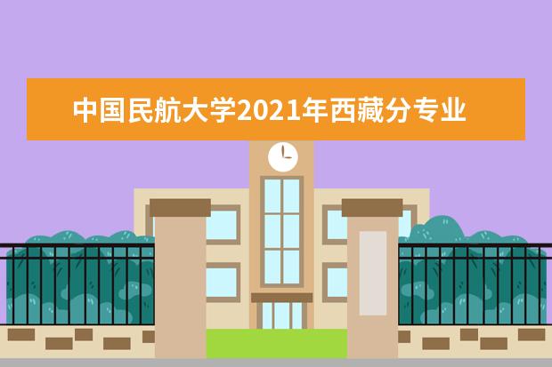 中国民航大学2021年西藏分专业录取分数线